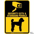 画像2: スタンダードプードル＆防犯カメラ 監視 警戒中 英語 マグサイン(マグネット/ステッカー)：SECURITY CCTV ＆ STANDARD POODLE [MAGSIGN] (2)
