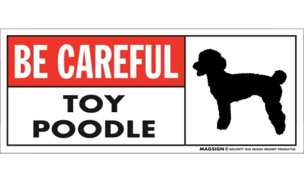 画像1: [MAGSIGN] トイプードル マグネット＆ステッカー (犬)気を付けて 英語 BE CAREFUL TOY POODLE 対象:車(ドア/ガラス/ボディ)・屋外(玄関扉/窓ガラス/メールポスト) 日本製 (1)