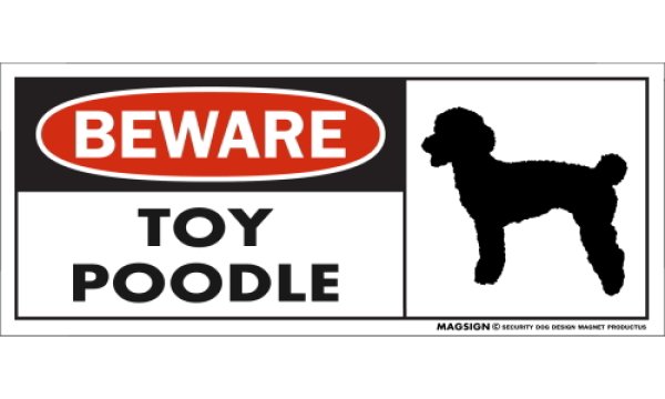 画像1: [MAGSIGN] トイプードル マグネット＆ステッカー 犬 注意 英語 BEWARE TOY POODLE 対象:車(ドア/ガラス/ボディ)・屋外(玄関扉/窓ガラス/メールポスト) 日本製 (1)