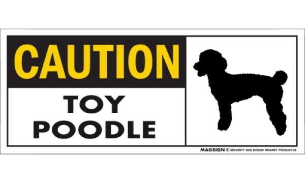 画像1: [MAGSIGN] トイプードル マグネット＆ステッカー 英語 警戒 CAUTION TOY POODLE 対象:車(ドア/ガラス/ボディ)・屋外(玄関扉/窓ガラス/メールポスト) 日本製 (1)