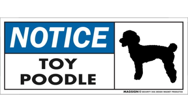 画像1: [MAGSIGN] トイプードル マグネット＆ステッカー 英語 お知らせ NOTICE TOY POODLE 対象:車(ドア/ガラス/ボディ)・屋外(玄関扉/窓ガラス/メールポスト) 日本製 (1)