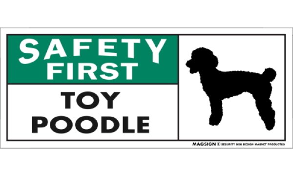 画像1: [MAGSIGN] トイプードル マグネット＆ステッカー 英語 安全第一 SAFETY FIRST TOY POODLE 対象:車(ドア/ガラス/ボディ)・屋外(玄関扉/窓ガラス/メールポスト) 日本製 (1)