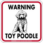 画像1: [MAGSIGN] WARNING TOY POODLE マグネット＆ステッカー：トイプードル(ホワイト/イエロー/オレンジ) 注意 英語 正方形 車＆屋外用(防水性/耐光性) 日本製 (1)
