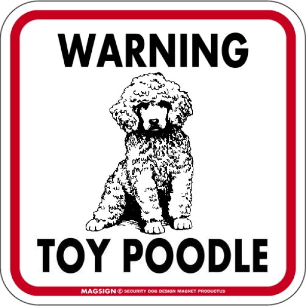 画像1: [MAGSIGN] WARNING TOY POODLE マグネット＆ステッカー：トイプードル(ホワイト/イエロー/オレンジ) 注意 英語 正方形 車＆屋外用(防水性/耐光性) 日本製 (1)