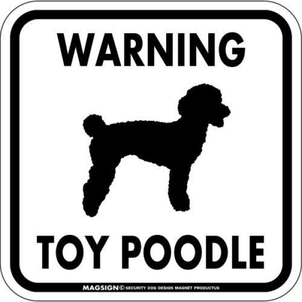 画像1: [MAGSIGN] WARNING TOY POODLE マグネット＆ステッカー：トイプードル(ホワイト/イエロー/オレンジ) 注意 英語 正方形 車＆屋外用(防水性/耐光性) 日本製 (1)