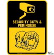 画像2: ペキニーズ＆防犯カメラ 監視 警戒中 英語 マグサイン(マグネット/ステッカー)：SECURITY CCTV ＆ PEKINGESE [MAGSIGN] (2)