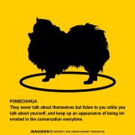 画像2: POMECHIHUA'S POEM [MAGSIGN] ポエムシリーズ マグネット＆ステッカー 防水/耐水・耐光性 日本製 英語＆シルエット：ポメチワ（ホワイト/イエロー） (2)