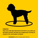 画像2: POMEPOO'S POEM [MAGSIGN] ポエムシリーズ マグネット＆ステッカー 防水/耐水・耐光性 日本製 英語＆シルエット：ポメプー（ホワイト/イエロー） (2)