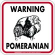 画像1: [MAGSIGN] WARNING POMERANIAN マグネット＆ステッカー：ポメラニアン(ホワイト/イエロー/オレンジ) 注意 英語 正方形 車＆屋外用(防水性/耐光性) 日本製 (1)