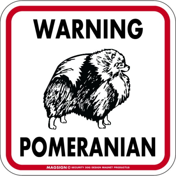 画像1: [MAGSIGN] WARNING POMERANIAN マグネット＆ステッカー：ポメラニアン(ホワイト/イエロー/オレンジ) 注意 英語 正方形 車＆屋外用(防水性/耐光性) 日本製 (1)