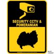 画像2: ポメラニアン＆防犯カメラ 監視 警戒中 英語 マグサイン(マグネット/ステッカー)：SECURITY CCTV ＆ POMERANIAN [MAGSIGN] (2)