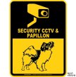 画像1: パピヨン＆防犯カメラ 監視 警戒中 英語 マグサイン(マグネット/ステッカー)：SECURITY CCTV ＆ PAPILLON [MAGSIGN] (1)