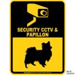 画像2: パピヨン＆防犯カメラ 監視 警戒中 英語 マグサイン(マグネット/ステッカー)：SECURITY CCTV ＆ PAPILLON [MAGSIGN] (2)