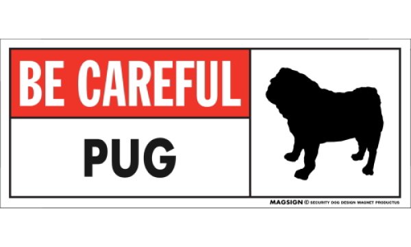 画像1: [MAGSIGN] パグ マグネット＆ステッカー (犬)気を付けて 英語 BE CAREFUL PUG 対象:車(ドア/ガラス/ボディ)・屋外(玄関扉/窓ガラス/メールポスト) 日本製 (1)