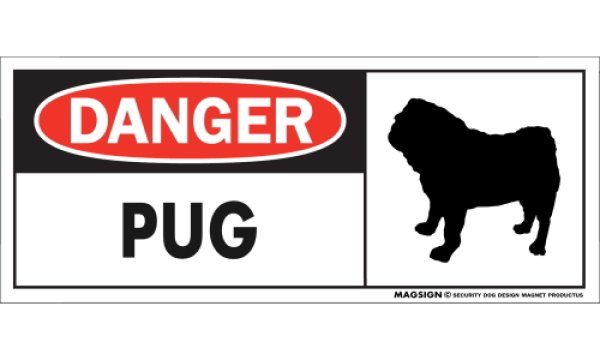 画像1: [MAGSIGN] パグ マグネット＆ステッカー 英語 危ない 危険 DANGER PUG 対象:車(ドア/ガラス/ボディ)・屋外(玄関扉/窓ガラス/メールポスト) 日本製 (1)