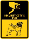 画像2: パグ＆防犯カメラ 監視 警戒中 英語 マグサイン(マグネット/ステッカー)：SECURITY CCTV ＆ PUG [MAGSIGN] (2)
