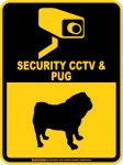 画像1: パグ＆防犯カメラ 監視 警戒中 英語 マグサイン(マグネット/ステッカー)：SECURITY CCTV ＆ PUG [MAGSIGN] (1)