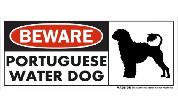 画像1: [MAGSIGN] ポーチュギーズウォータードッグ(ライオンカット) マグネット＆ステッカー 犬 注意 英語 BEWARE PORTUGUESE WATER DOG 対象:車(ドア/ガラス/ボディ)・屋外(玄関扉/窓ガラス/メールポスト) 日本製 (1)