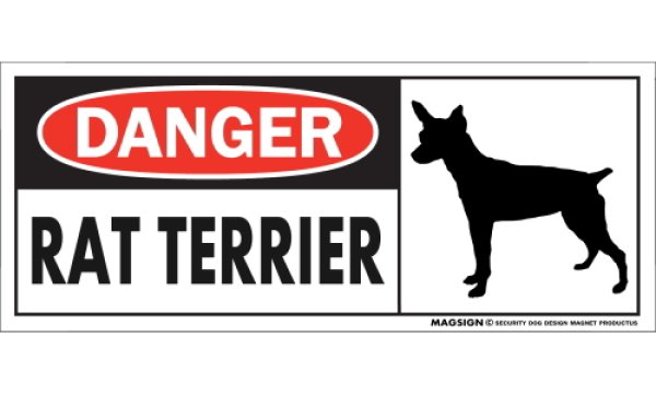 画像1: [MAGSIGN] ラットテリア マグネット＆ステッカー 英語 危ない 危険 DANGER RAT TERRIER 対象:車(ドア/ガラス/ボディ)・屋外(玄関扉/窓ガラス/メールポスト) 日本製 (1)