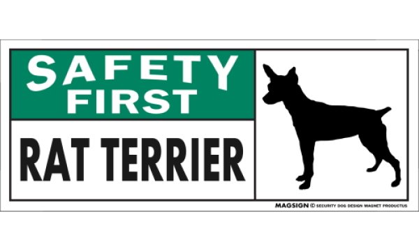 画像1: [MAGSIGN] ラットテリア マグネット＆ステッカー 英語 安全第一 SAFETY FIRST RAT TERRIER 対象:車(ドア/ガラス/ボディ)・屋外(玄関扉/窓ガラス/メールポスト) 日本製 (1)