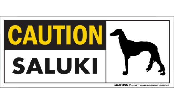 画像1: [MAGSIGN] サルーキ マグネット＆ステッカー 英語 警戒 CAUTION SALUKI 対象:車(ドア/ガラス/ボディ)・屋外(玄関扉/窓ガラス/メールポスト) 日本製 (1)