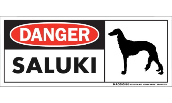 画像1: [MAGSIGN] サルーキ マグネット＆ステッカー 英語 危ない 危険 DANGER SALUKI 対象:車(ドア/ガラス/ボディ)・屋外(玄関扉/窓ガラス/メールポスト) 日本製 (1)