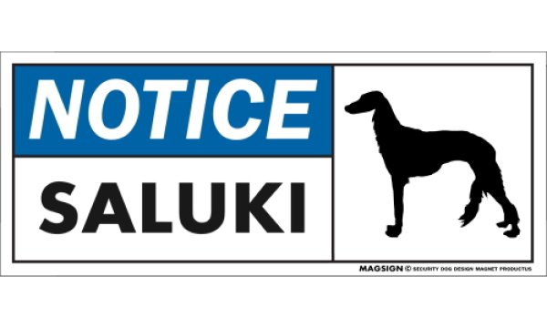 画像1: [MAGSIGN] サルーキ マグネット＆ステッカー 英語 お知らせ NOTICE SALUKI 対象:車(ドア/ガラス/ボディ)・屋外(玄関扉/窓ガラス/メールポスト) 日本製 (1)