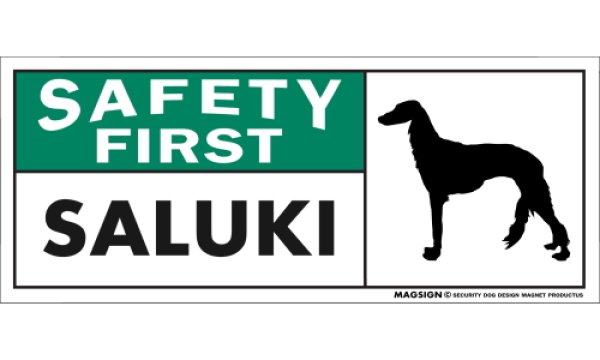 画像1: [MAGSIGN] サルーキ マグネット＆ステッカー 英語 安全第一 SAFETY FIRST SALUKI 対象:車(ドア/ガラス/ボディ)・屋外(玄関扉/窓ガラス/メールポスト) 日本製 (1)