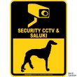 画像2: サルーキ＆防犯カメラ 監視 警戒中 英語 マグサイン(マグネット/ステッカー)：SECURITY CCTV ＆ SALUKI [MAGSIGN] (2)