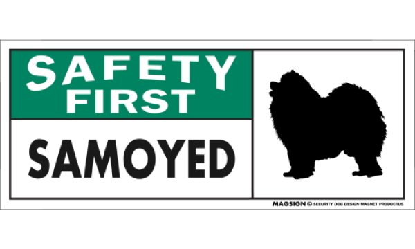 画像1: [MAGSIGN] サモエド マグネット＆ステッカー 英語 安全第一 SAFETY FIRST SAMOYED 対象:車(ドア/ガラス/ボディ)・屋外(玄関扉/窓ガラス/メールポスト) 日本製 (1)