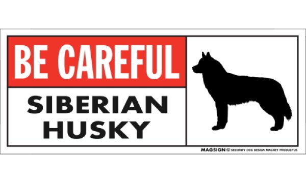 画像1: [MAGSIGN] シベリアンハスキー マグネット＆ステッカー (犬)気を付けて 英語 BE CAREFUL SIBERIAN HUSKY 対象:車(ドア/ガラス/ボディ)・屋外(玄関扉/窓ガラス/メールポスト) 日本製 (1)