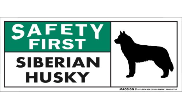 画像1: [MAGSIGN] シベリアンハスキー マグネット＆ステッカー 英語 安全第一 SAFETY FIRST SIBERIAN HUSKY 対象:車(ドア/ガラス/ボディ)・屋外(玄関扉/窓ガラス/メールポスト) 日本製 (1)