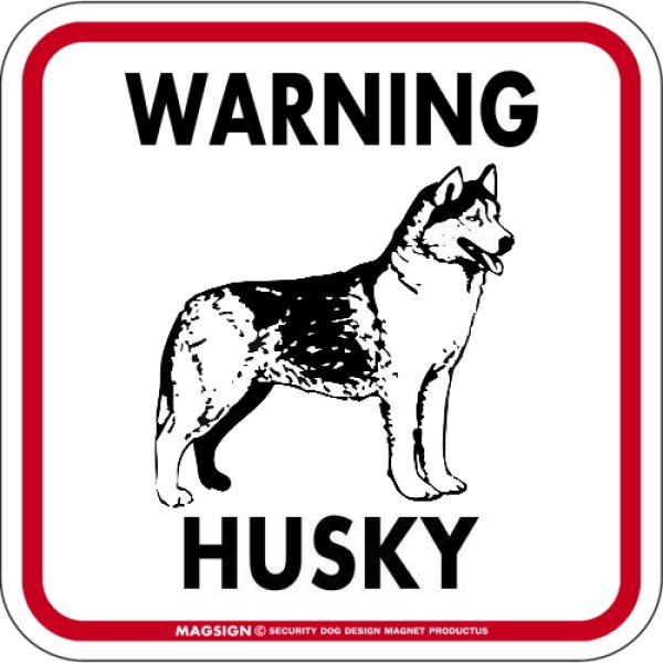 画像1: [MAGSIGN] WARNING HUSKY マグネット＆ステッカー：ハスキー(ホワイト/イエロー/オレンジ) 注意 英語 正方形 車＆屋外用(防水性/耐光性) 日本製 (1)