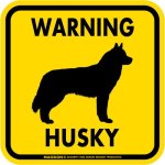 画像3: [MAGSIGN] WARNING HUSKY マグネット＆ステッカー：ハスキー(ホワイト/イエロー/オレンジ) 注意 英語 正方形 車＆屋外用(防水性/耐光性) 日本製 (3)