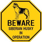 画像2: [MAGSIGN] シベリアンハスキー 注意 英語 英文 ローマ字 オペレーション中 動作中 オクタゴン(八角形)マグネット＆ステッカー BEWARE SIBERIAN HUSKY IN OPERATION 車/屋外用 日本製 (2)