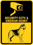 画像2: シベリアンハスキー＆防犯カメラ 監視 警戒中 英語 マグサイン(マグネット/ステッカー)：SECURITY CCTV ＆ SIBERIAN HUSKY [MAGSIGN] (2)