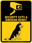 画像3: シベリアンハスキー＆防犯カメラ 監視 警戒中 英語 マグサイン(マグネット/ステッカー)：SECURITY CCTV ＆ SIBERIAN HUSKY [MAGSIGN] (3)