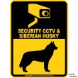 画像3: シベリアンハスキー＆防犯カメラ 監視 警戒中 英語 マグサイン(マグネット/ステッカー)：SECURITY CCTV ＆ SIBERIAN HUSKY [MAGSIGN] (3)