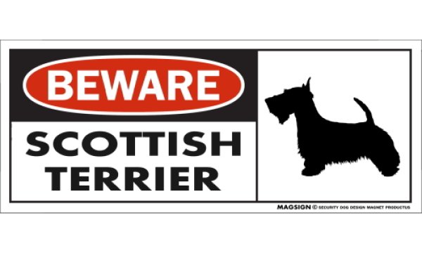 画像1: [MAGSIGN] スコティッシュテリア マグネット＆ステッカー 犬 注意 英語 BEWARE SCOTTISH TERRIER 対象:車(ドア/ガラス/ボディ)・屋外(玄関扉/窓ガラス/メールポスト) 日本製 (1)