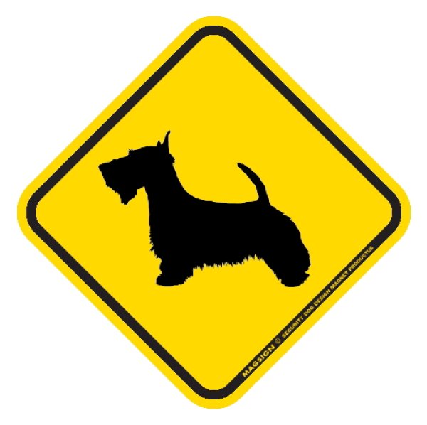 画像1: [MAGSIGN] 犬横断注意/犬飛び出し注意 マグネット＆ステッカー 黄色(イエロー) 車 屋外用(防水/耐水・耐光仕様) 日本製：スコティッシュテリア (1)