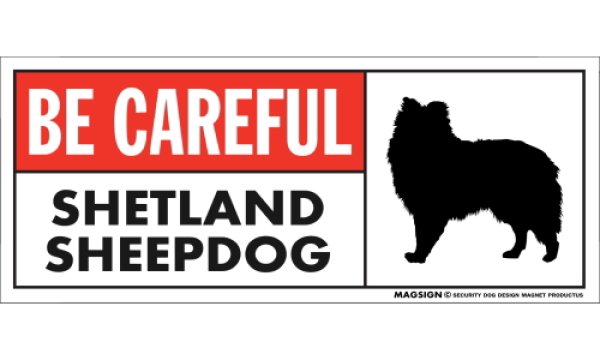 画像1: [MAGSIGN] シェットランドシープドッグ マグネット＆ステッカー (犬)気を付けて 英語 BE CAREFUL SHETLAND SHEEPDOG 対象:車(ドア/ガラス/ボディ)・屋外(玄関扉/窓ガラス/メールポスト) 日本製 (1)