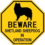画像1: [MAGSIGN] シェットランドシープドッグ 注意 英語 英文 ローマ字 オペレーション中 動作中 オクタゴン(八角形)マグネット＆ステッカー BEWARE SHETLAND SHEEPDOG IN OPERATION 車/屋外用 日本製 (1)