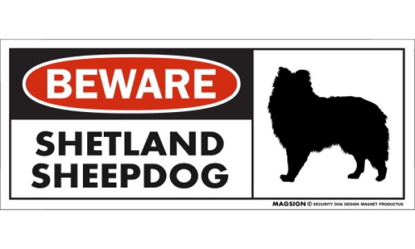 画像1: [MAGSIGN] シェットランドシープドッグ マグネット＆ステッカー 犬 注意 英語 BEWARE SHETLAND SHEEPDOG 対象:車(ドア/ガラス/ボディ)・屋外(玄関扉/窓ガラス/メールポスト) 日本製 (1)