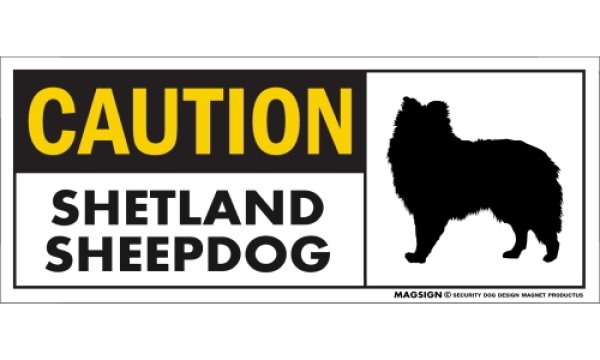 画像1: [MAGSIGN] シェットランドシープドッグ マグネット＆ステッカー 英語 警戒 CAUTION SHETLAND SHEEPDOG 対象:車(ドア/ガラス/ボディ)・屋外(玄関扉/窓ガラス/メールポスト) 日本製 (1)