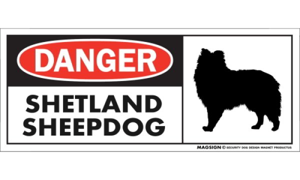 画像1: [MAGSIGN] シェットランドシープドッグ マグネット＆ステッカー 英語 危ない 危険 DANGER SHETLAND SHEEPDOG 対象:車(ドア/ガラス/ボディ)・屋外(玄関扉/窓ガラス/メールポスト) 日本製 (1)