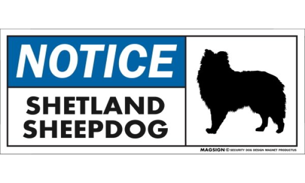 画像1: [MAGSIGN] シェットランドシープドッグ(シェルティー) マグネット＆ステッカー 英語 お知らせ NOTICE SHETLAND SHEEPDOG 対象:車(ドア/ガラス/ボディ)・屋外(玄関扉/窓ガラス/メールポスト) 日本製 (1)