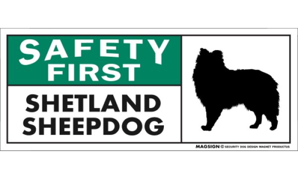 画像1: [MAGSIGN] シェットランドシープドッグ マグネット＆ステッカー 英語 安全第一 SAFETY FIRST SHETLAND SHEEPDOG 対象:車(ドア/ガラス/ボディ)・屋外(玄関扉/窓ガラス/メールポスト) 日本製 (1)