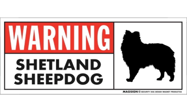 画像1: [MAGSIGN] シェットランドシープドッグ 注意マグネット＆ステッカー 英語 警戒/警告 WARNING SHETLAND SHEEPDOG 対象:車(ドア/ガラス/ボディ)・屋外(玄関扉/窓ガラス/メールポスト) 日本製 (1)