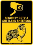 画像2: シェットランドシープドッグ＆防犯カメラ 監視 警戒中 英語 マグサイン(マグネット/ステッカー)：SECURITY CCTV ＆ SHETLAND SHEEPDOG [MAGSIGN] (2)
