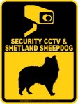 画像1: シェットランドシープドッグ＆防犯カメラ 監視 警戒中 英語 マグサイン(マグネット/ステッカー)：SECURITY CCTV ＆ SHETLAND SHEEPDOG [MAGSIGN] (1)